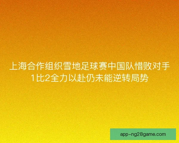 上海合作组织雪地足球赛中国队惜败对手1比2全力以赴仍未能逆转局势